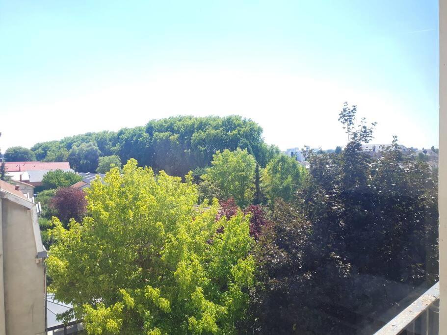 Le Cosy Du Faux Bourg Apartment Chalons en Champagne Bagian luar foto